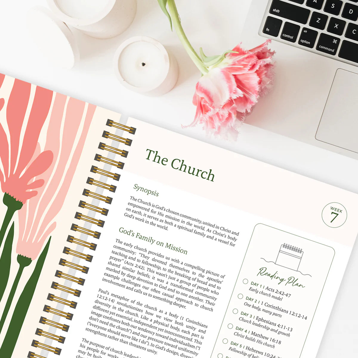 The Bible in a Year – Softcover Study Journal